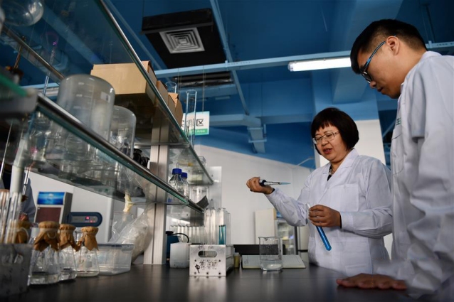 打造高质量发展的强劲引擎——从区域协调发展看奋进中国的发展新空间 打造高质量发展的强劲引擎——从区域协调发展看奋进中国的发展新空间