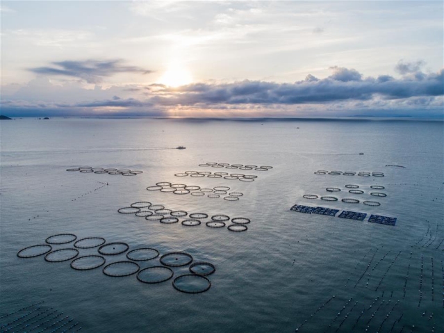 打造高质量发展的强劲引擎——从区域协调发展看奋进中国的发展新空间 打造高质量发展的强劲引擎——从区域协调发展看奋进中国的发展新空间