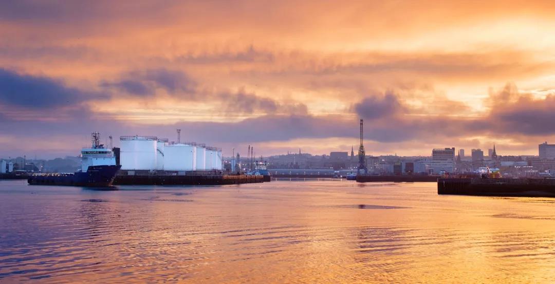 1575856860236244.jpg 22.jpg