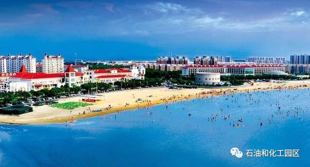 1583137789886583.jpg 12.jpg