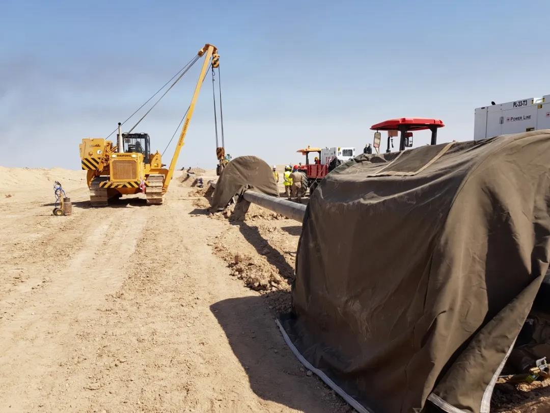 1584417192880731.jpg 4.jpg