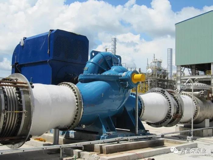 1586318955132959.jpg 22.jpg