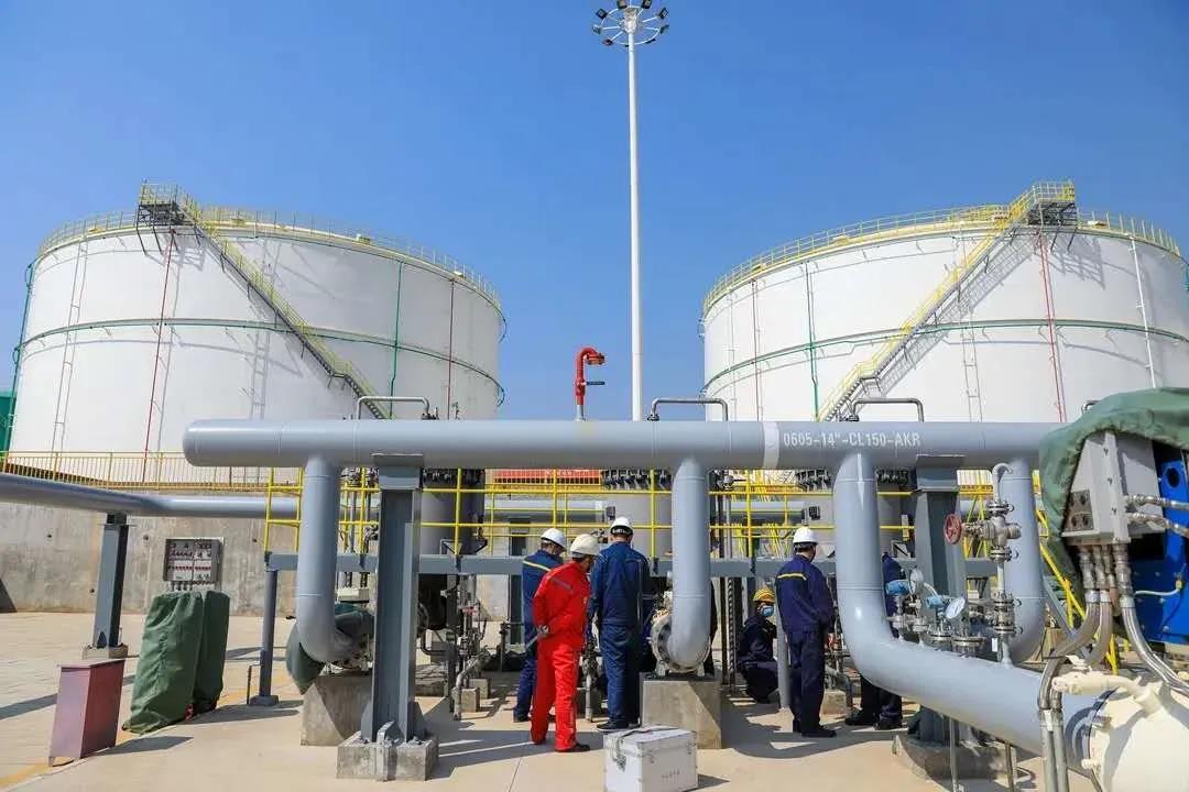 1588028417748839.jpg 5.jpg