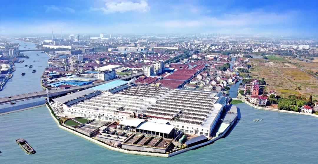 1604625892701934.jpg 1604625892701934.jpg