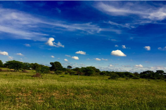 海外中标,即将播种“钻石之国”! 海外中标,即将播种“钻石之国”!