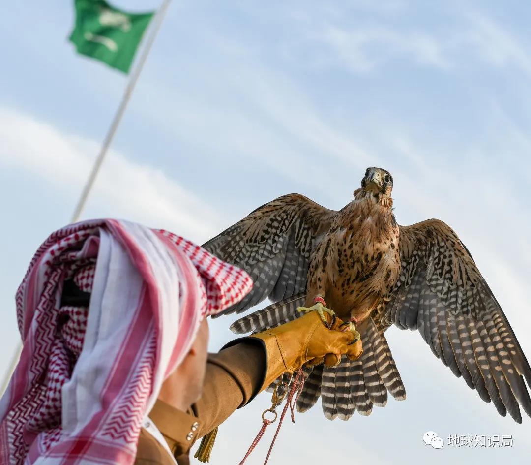 沙特,由奢入俭难 沙特,由奢入俭难