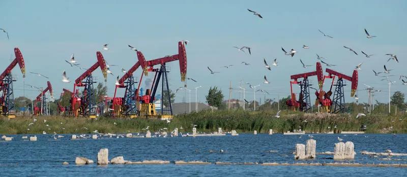 中国油气勘探开发的十字路口 中国油气勘探开发的十字路口