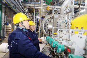 ܻƽ빤LDPE/EVAװüѹϵͳԳɹ