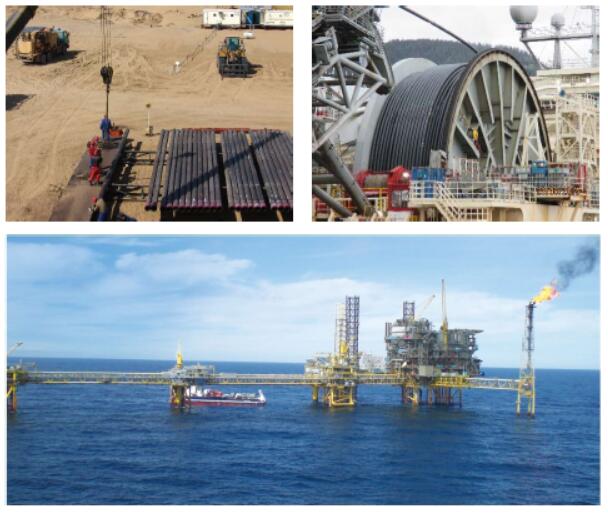 1607569004131573.jpg 1607569004131573.jpg