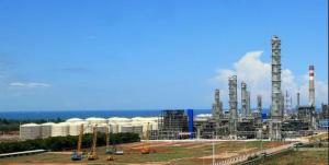 ������Ŀ | Wood���й������ϩ�����͸�������Ŀ��1.2����Ԫ��Ŀ��ͬ