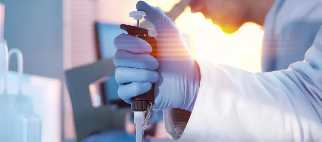 速看!康吉森自动化 获 万华化学 “最佳质量奖” 速看!康吉森自动化 获 万华化学 “最佳质量奖”