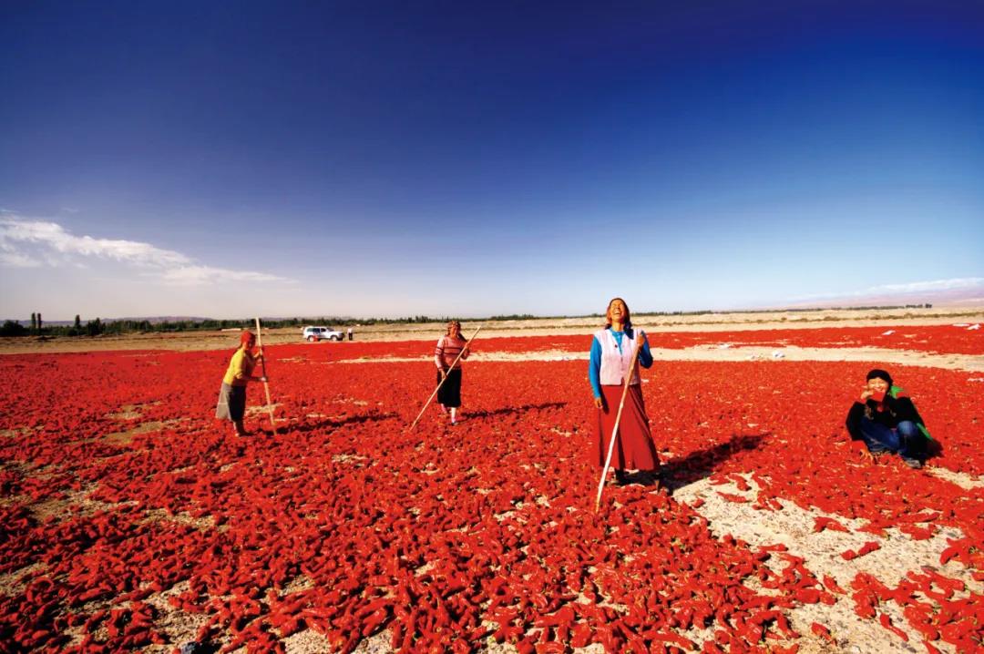 天然气占比超50%!中国石油油气结构变化背后意味着什么? 天然气占比超50%!中国石油油气结构变化背后意味着什么?