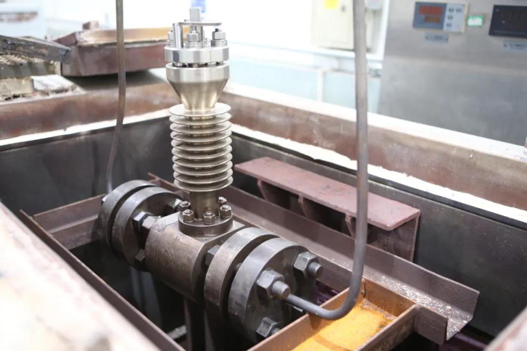 1624409589146003.jpg 1624409589146003.jpg