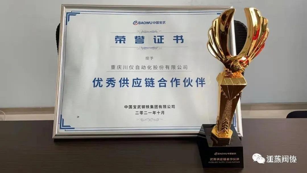 川仪股份荣获“中国宝武优秀供应链合作伙伴”称号 川仪股份荣获“中国宝武优秀供应链合作伙伴”称号