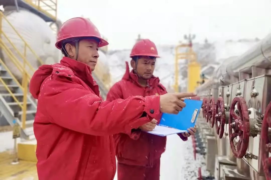 1645962709213923.jpg 1645962709213923.jpg