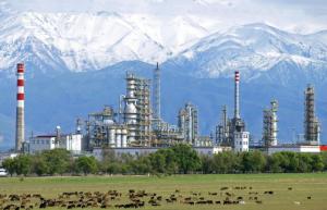 ʯԺMIPб꼪˹˹̹ͶʹģҵĿ