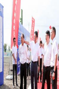 ذ?ɷݣSZ002534ӽܡ뷢չ½׶