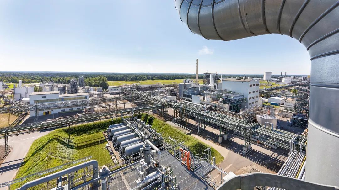 ˹ΰ򱣻Ŀ꣬ȡʩٲƷ̼㼣