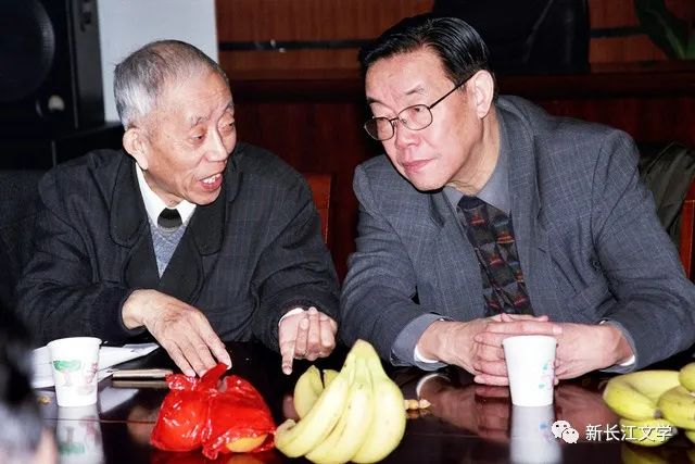 是改革开放催生了扬子乙烯(上)||江苏南京 龚仕文 是改革开放催生了扬子乙烯(上)||江苏南京 龚仕文