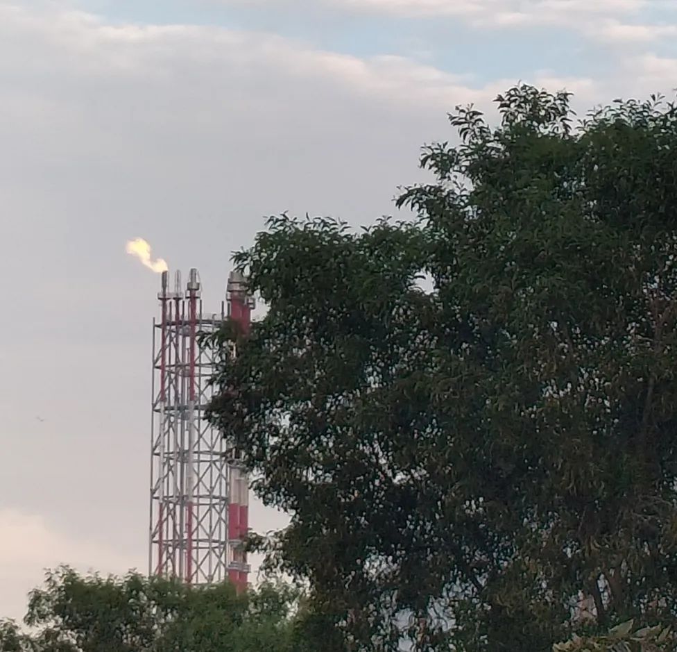 一次点火成功!广东石化火炬系统正式竣工使用 一次点火成功!广东石化火炬系统正式竣工使用