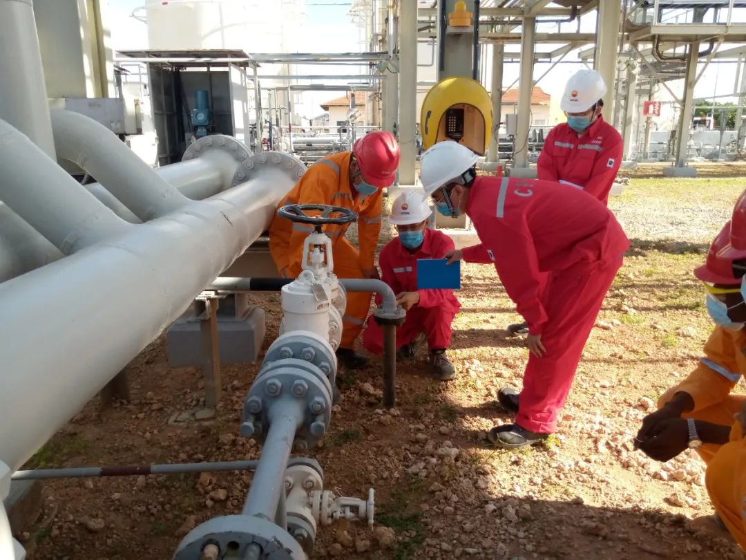 йʯͱ˾ѹĿţʸ߶г--˾ѹĿԲƽ