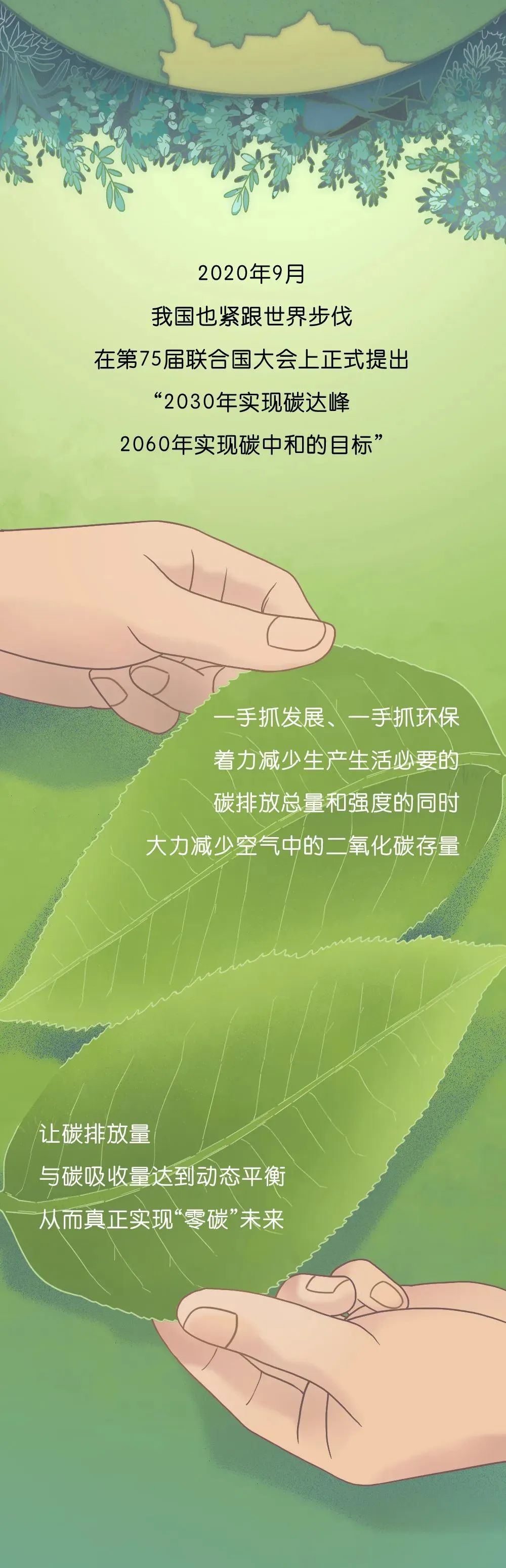 ¡Դ¹ľ˫̼Ŀ꣬ת͵Ҫٴ