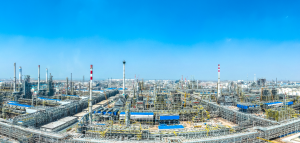 ¡װڵ׹ģһ廯ĿͶϿɹ