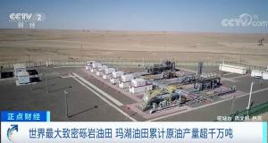 ȾãйʯȫƽЩش󹤳