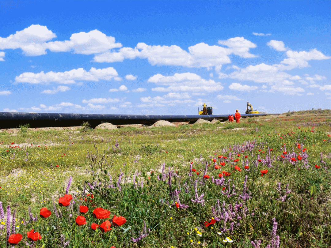 重磅丨丝路“蓝金”展现CPECC力量! 重磅丨丝路“蓝金”展现CPECC力量!