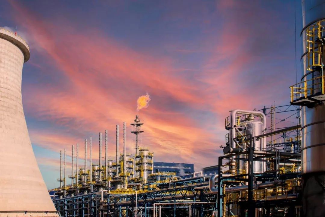 ҵɳҵչǳɴ﹫˾BDOȫҵĹ̼ɾ