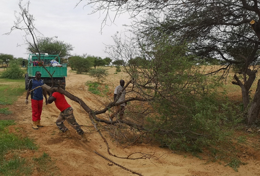 中油工程建设西非公司尼日尔油田二期发电站EP项目关键设备顺利运抵现场 中油工程建设西非公司尼日尔油田二期发电站EP项目关键设备顺利运抵现场