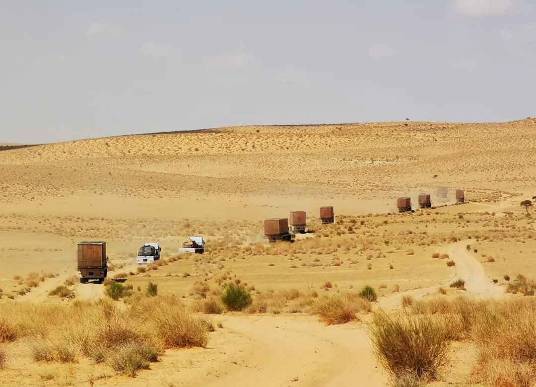 中油工程建设西非公司尼日尔油田二期发电站EP项目关键设备顺利运抵现场 中油工程建设西非公司尼日尔油田二期发电站EP项目关键设备顺利运抵现场