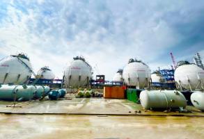 չԴװʯװԲɹԪĿ޹̣