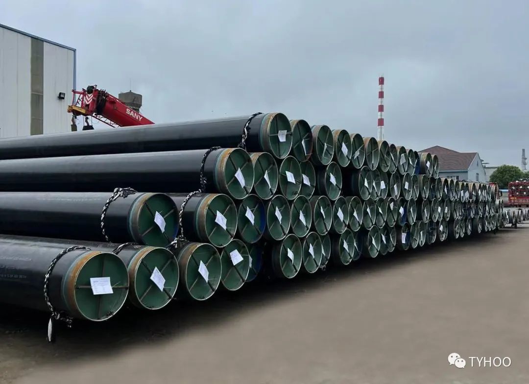 1663759559417080.jpg 1663759559417080.jpg