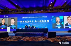 ҹ׸ʽǧּCCUS̼棩Ŀ