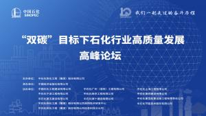 ذԤ棡˫̼Ŀʯҵչ߷̳