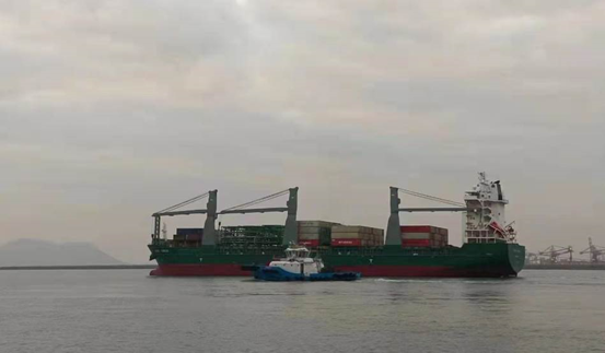  Woodй˳͢RaizenͳģĿ