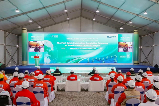 ҹ׸ɳذܳаĿܼܽ깤