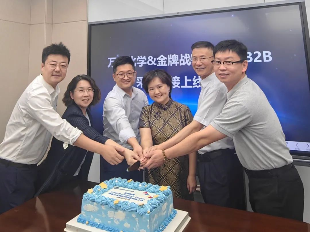 Endress+Hauser与万华化学B2B自动化采购项目成功上线 Endress+Hauser与万华化学B2B自动化采购项目成功上线