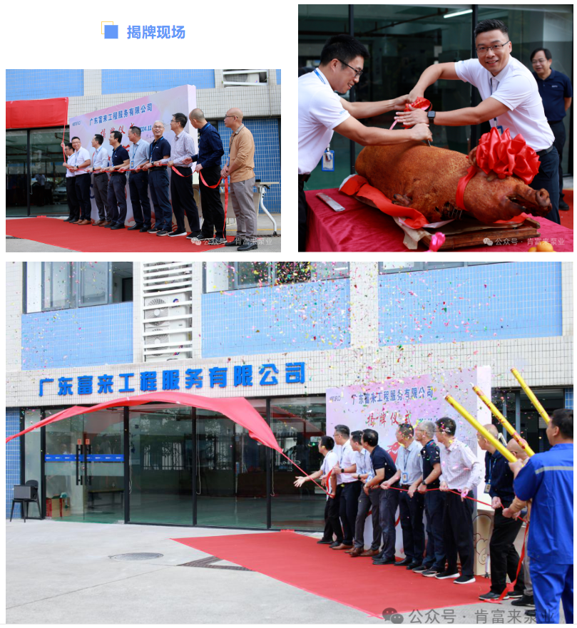 1732278203415736.png image.png