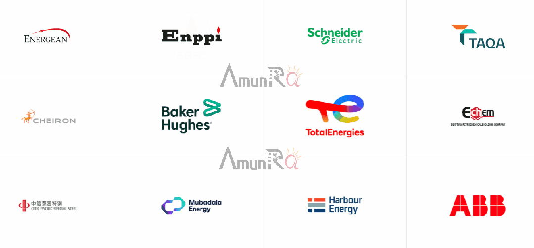 参展EGYPES 2025的公司和组织完整名单:可持续能源未来的先驱 参展EGYPES 2025的公司和组织完整名单:可持续能源未来的先驱