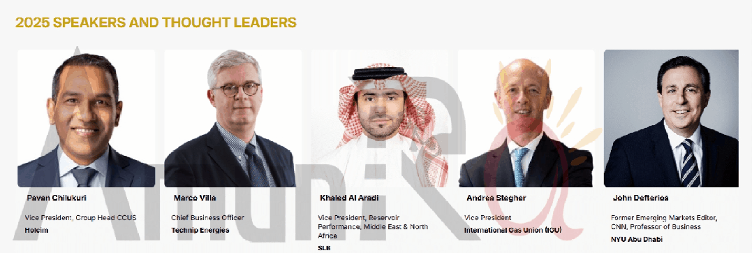 参展EGYPES 2025的公司和组织完整名单:可持续能源未来的先驱 参展EGYPES 2025的公司和组织完整名单:可持续能源未来的先驱