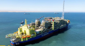 ʯڰĿAgogo FPSOɹ